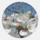 Recherche de cherry stickers Favoriser