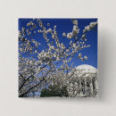 Recherche de washington dc badges Monument
