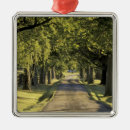 Search for kentucky ornaments Nature