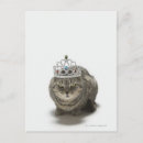 Search for dressed up postcards Animals