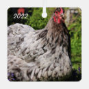 Search for poultry ornaments Animal