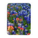 Recherche de bleuet magnets Capot bleu