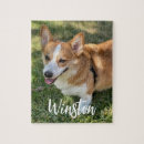 Search for dog picture puzzles Dogs