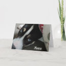 Recherche de chiot pitbull cartes postales Désolé