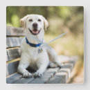 Recherche de labrador retriever art Puppy