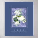 Search for iris posters Blue