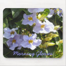 Search for glories mousepads Morning glory