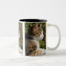 Search for tortoiseshell cat mugs Adorable