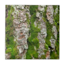 Search for tree bark tiles Texture