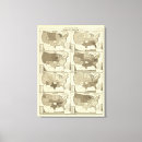 Search for statistical canvas prints Lithographed
