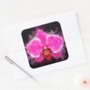 Search for orchid flower stickers Bloom