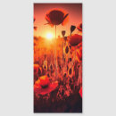 Search for mohn Flower