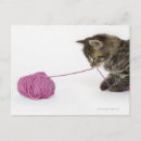 Search for photography business postcards Cute