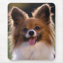 Recherche de furries tapis souris Chien