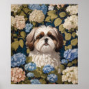 Search for shih tzu posters Flowers