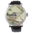 Recherche de femelle montres Oiseau