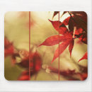 Recherche de feuille rouge tapis souris Botanique
