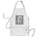 Recherche de bichon tabliers Chiot