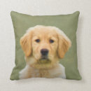 Search for golden retriever pillows Animals