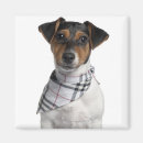 Search for old camera magnets Dog