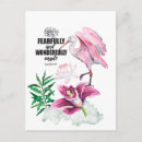 Search for illustrated bible postcards Religion