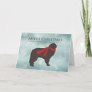 Search for newfoundland christmas cards Merry
