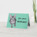 Search for funny kittens cards Cartoon