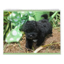Search for maltese calendars Puppies