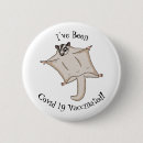 Search for possum buttons Cartoon