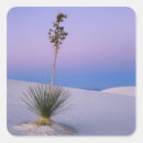 Search for white sands stickers Sunset