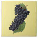Recherche de raisins carreaux Vin