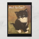 Search for tuxedo cat invitations White