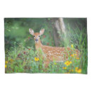 Search for deer pillowcases White tailed deer