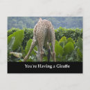 Recherche de girafes cartes postales Zoo