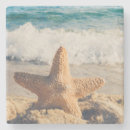 Search for sandy coasters Ocean