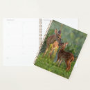 Search for fawn planners Animal