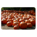 Search for fall holiday magnets October