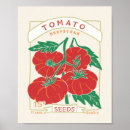 Recherche de tomato posters Vegetables
