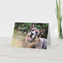 Search for funny german shepherd cards Pet