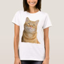Recherche de ginger cat tshirts Gingembre