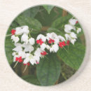 Recherche de vigne dessous de verres Fleur