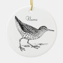 Search for sandpiper ornaments Wildlife