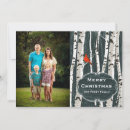 Search for birch trees christmas cards Bird