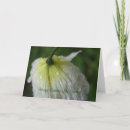 Search for wife birthday cards Green