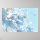 Recherche de jacaranda posters Arbre