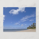 Recherche de plage palmier cartes postales Nuage
