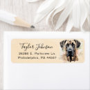 Search for great dane return address labels Cute