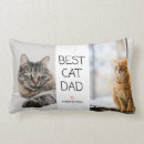 Recherche de cat coussins Moderne