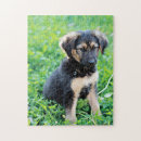 Search for german shepherd puzzles Cute