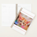Recherche de chat de gingembre bureau fournitures Animaux